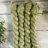 Whispering Ivy Mini Skein